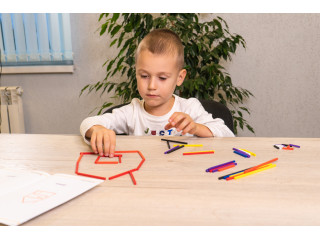 Игровой набор Дары Фребеля 14 модулей с методическими пособиями 7 книг