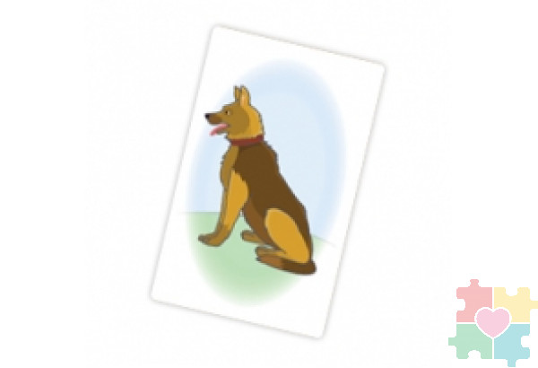 Набор карточек "Бежит-лежит" Набор карточек "Бежит-лежит"