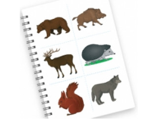 Набор открыток "Лексические открытки"