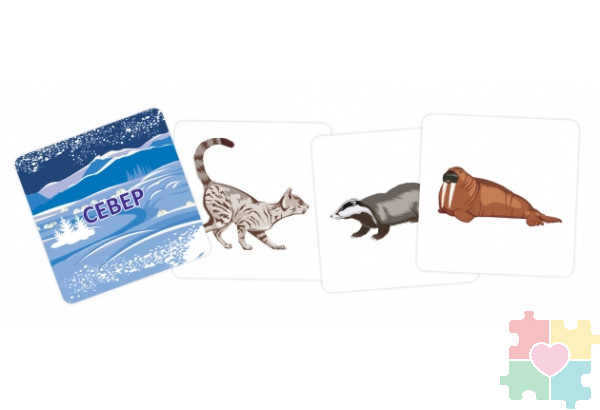 Набор карточек "Зоосад" Набор карточек "Зоосад"