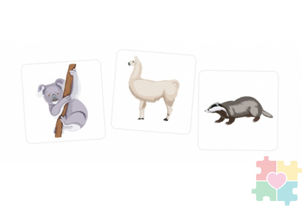 Набор карточек "Зоосад" Набор карточек "Зоосад"