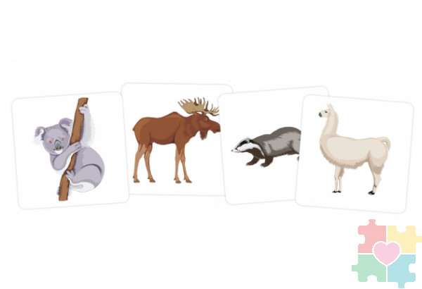 Набор карточек "Зоосад" Набор карточек "Зоосад"