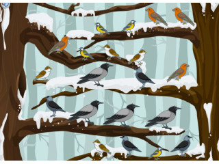 Лексические запасы