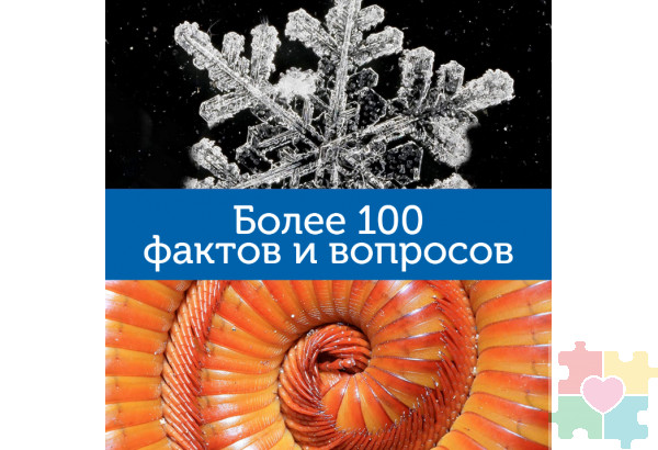 Мой первый микроскоп  (серия GeoSafari, говорящий  англ.яз)