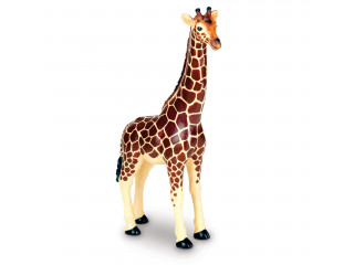 Развивающая игрушка «Животные джунглей» (5 элементов)