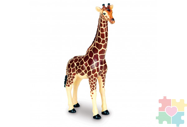 Развивающая игрушка «Животные джунглей» (5 элементов)