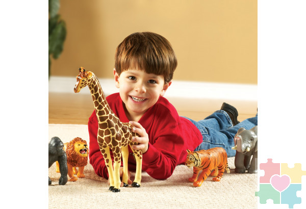 Развивающая игрушка «Животные джунглей» (5 элементов)