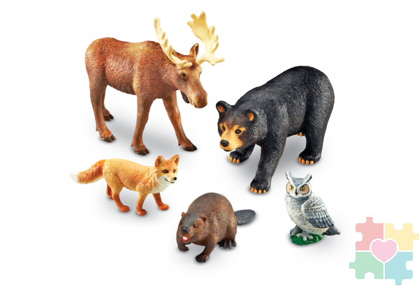 "Развивающая игрушка Животные леса"  (5 элементов)