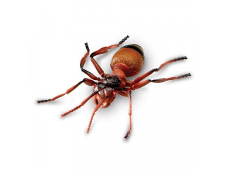 Развивающая игрушка "Насекомые"  (7 элементов)