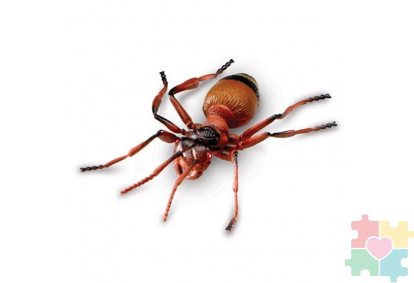 Развивающая игрушка "Насекомые"  (7 элементов)