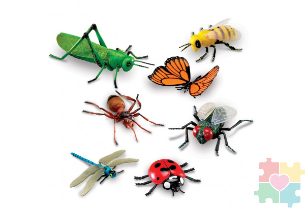 Развивающая игрушка "Насекомые"  (7 элементов)