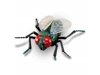 Развивающая игрушка "Насекомые"  (7 элементов)