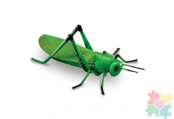 Развивающая игрушка "Насекомые"  (7 элементов)