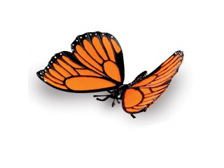 Развивающая игрушка "Насекомые"  (7 элементов)