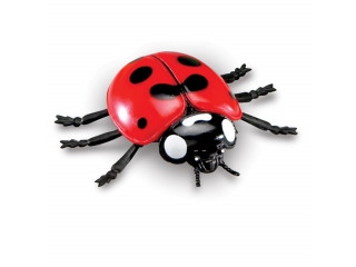 Развивающая игрушка "Насекомые"  (7 элементов)