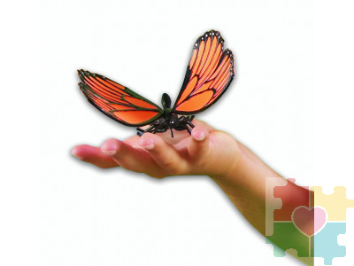 Развивающая игрушка "Насекомые"  (7 элементов)