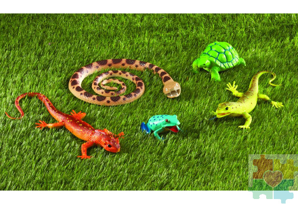 Развивающая игрушка "Рептилии и амфибии"  (5 элементов)
