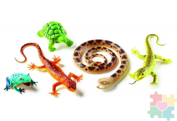 Развивающая игрушка "Рептилии и амфибии"  (5 элементов)