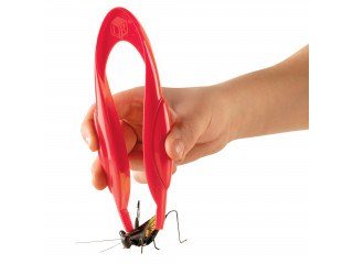 "Набор щипчиков Гигантские щипчики"  (12 элементов)