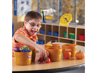 Развивающая игрушка «Овощи и фрукты. Большая сортировка» (30 элементов)