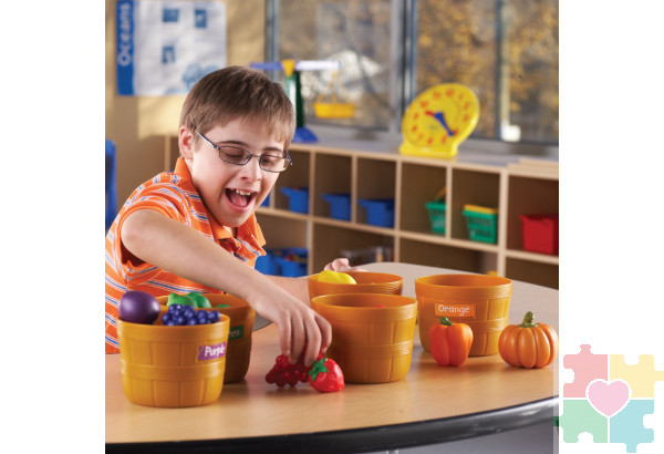 Развивающая игрушка «Овощи и фрукты. Большая сортировка» (30 элементов)