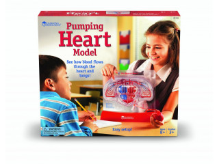 Развивающая игрушка "Кровеносная система человека" (демонстрационный материал с ручным насосом)