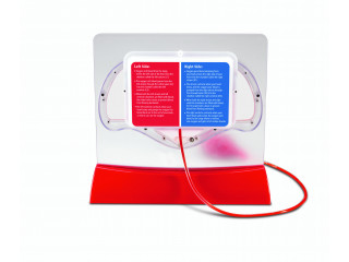 Развивающая игрушка "Кровеносная система человека" (демонстрационный материал с ручным насосом)