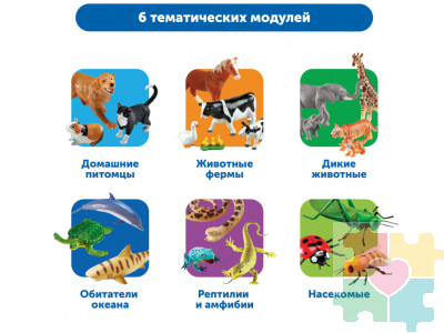 Большие игровые фигурки животных (комплект для группы)