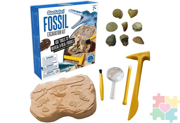 Развивающая игрушка "Юный Геолог" (серия GeoSafari, комплект для раскопок ископаемых)