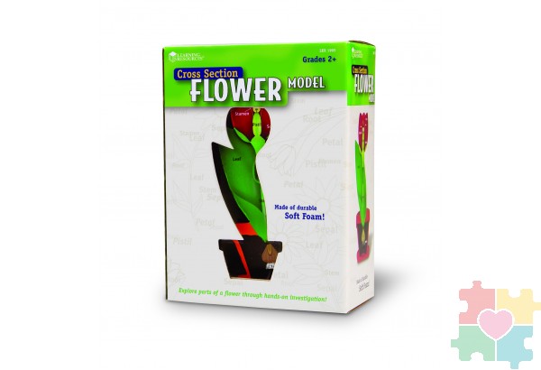 Развивающая игрушка "Цветок модель в сечении" (демонстрационный материал из мягкой пены, 15см., 1 элемент )