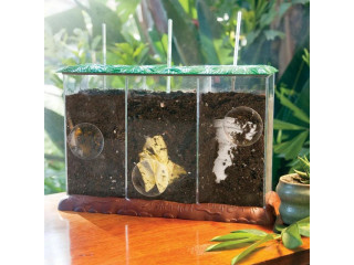 Развивающая игрушка "Экология для малышей. Мусор как удобрение" (набор для опытов)