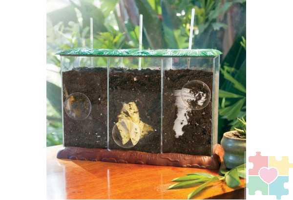 Развивающая игрушка "Экология для малышей. Мусор как удобрение" (набор для опытов)