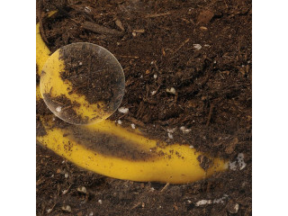 Развивающая игрушка "Экология для малышей. Мусор как удобрение" (набор для опытов)