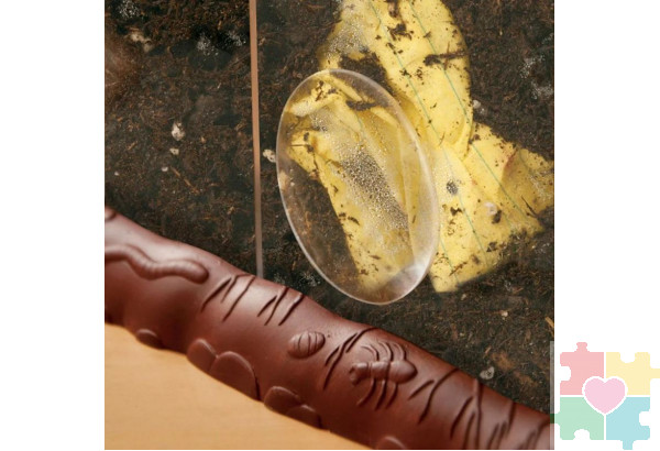 Развивающая игрушка "Экология для малышей. Мусор как удобрение" (набор для опытов)