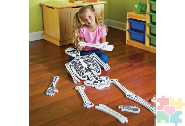 Напольный пазл "Скелет" (122см., 15 элементов)