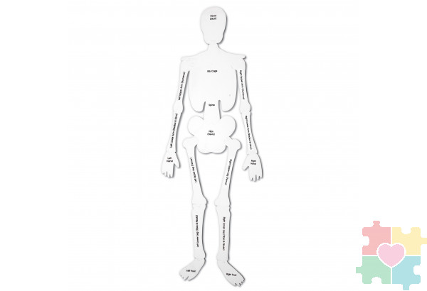 Напольный пазл "Скелет" (122см., 15 элементов)