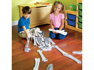 Напольный пазл "Скелет" (122см., 15 элементов)
