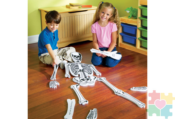 Напольный пазл "Скелет" (122см., 15 элементов)