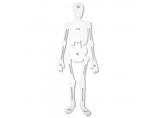 Напольный пазл "Скелет" (122см., 15 элементов)