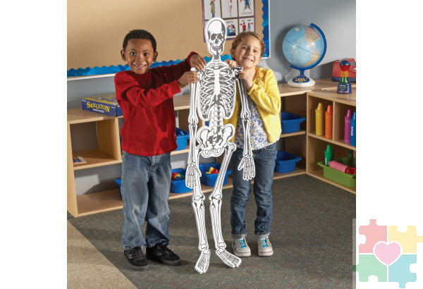 Напольный пазл "Скелет" (122см., 15 элементов)