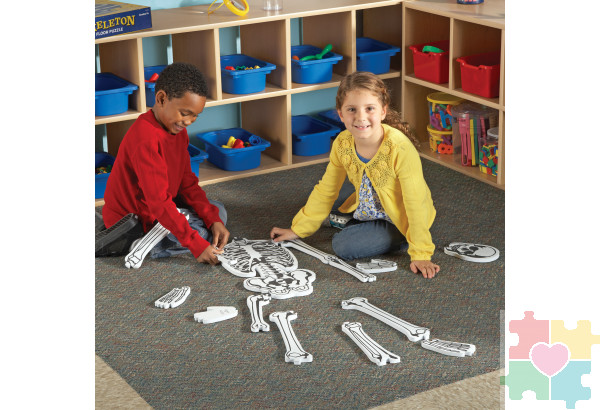 Напольный пазл "Скелет" (122см., 15 элементов)