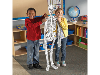 Напольный пазл "Скелет" (122см., 15 элементов)