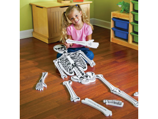 Напольный пазл "Скелет" (122см., 15 элементов)