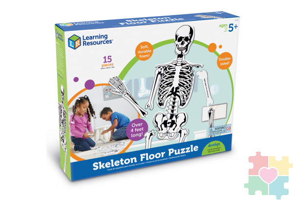 Напольный пазл "Скелет" (122см., 15 элементов)