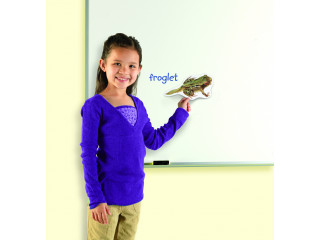 Развивающая игрушка "Жизненный цикл лягушки", магнитный (демонстрационный материал, 9 элементов )