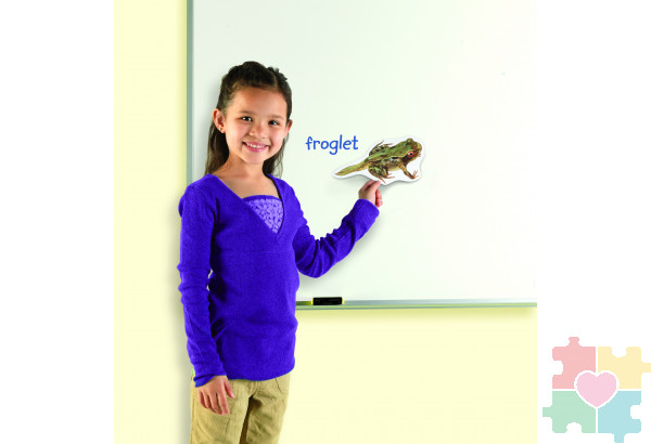 Развивающая игрушка "Жизненный цикл лягушки", магнитный (демонстрационный материал, 9 элементов )