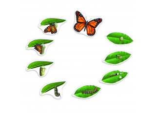 Развивающая игрушка "Жизненный цикл бабочки", магнитный (демонстрационный материал, 9 элементов)