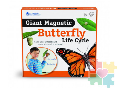 Развивающая игрушка "Жизненный цикл бабочки", магнитный (демонстрационный материал, 9 элементов)