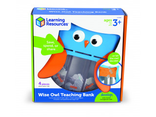 Развивающая игрушка "Мудрая Сова" (копилка с 3 секциями, 1 элемент)