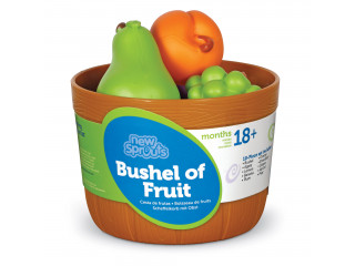 Развивающая игрушка "Фрукты в ведерке" (серия New Sprouts, 10 элементов)